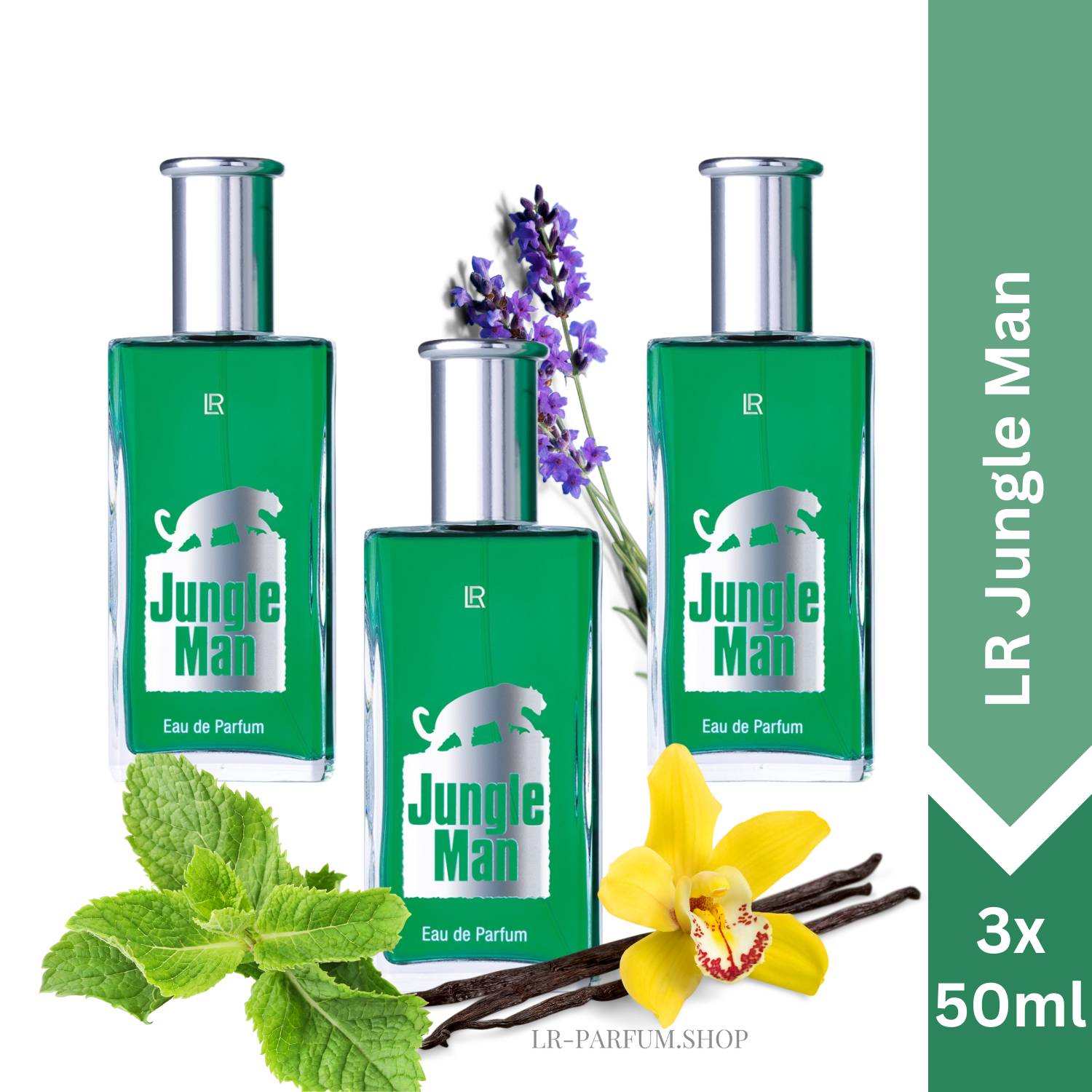 LR Jungle Man - Eau de Parfum, 3er Pack (3x50ml) - LR-Parfum.shop